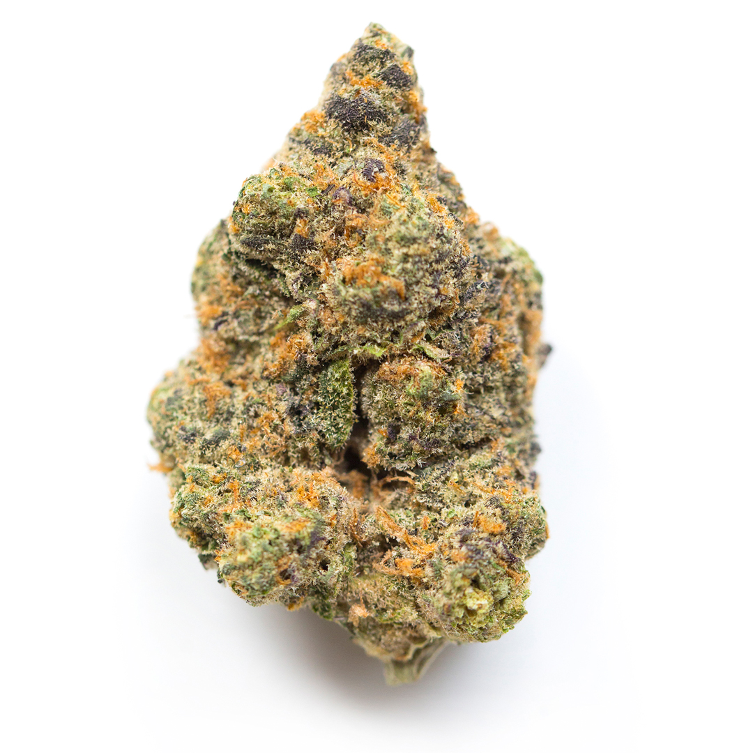 Animal Cookies Hybrid Cannabis Strain