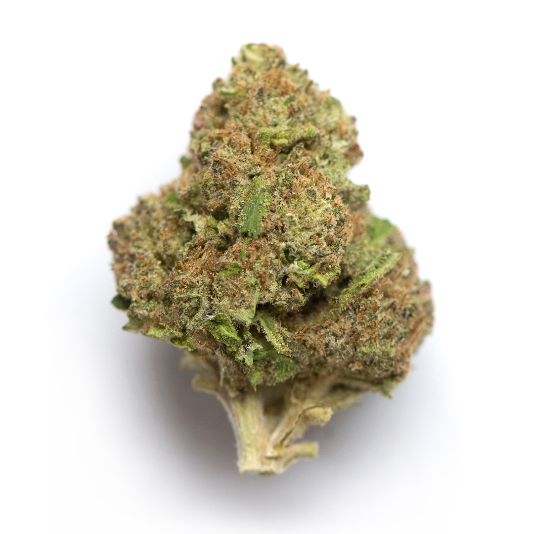 Blue Diesel Hybrid Cannabis Strain