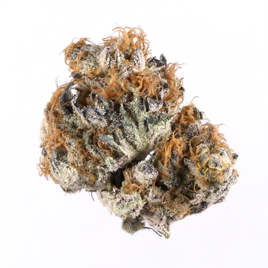 Blueberry Hybrid Cannabis Strain