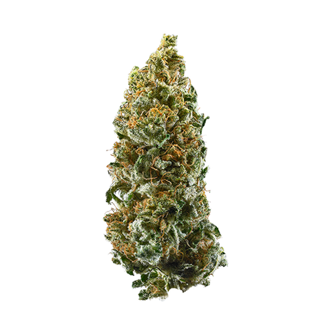 Cannatonic Hybrid Cannabis Strain