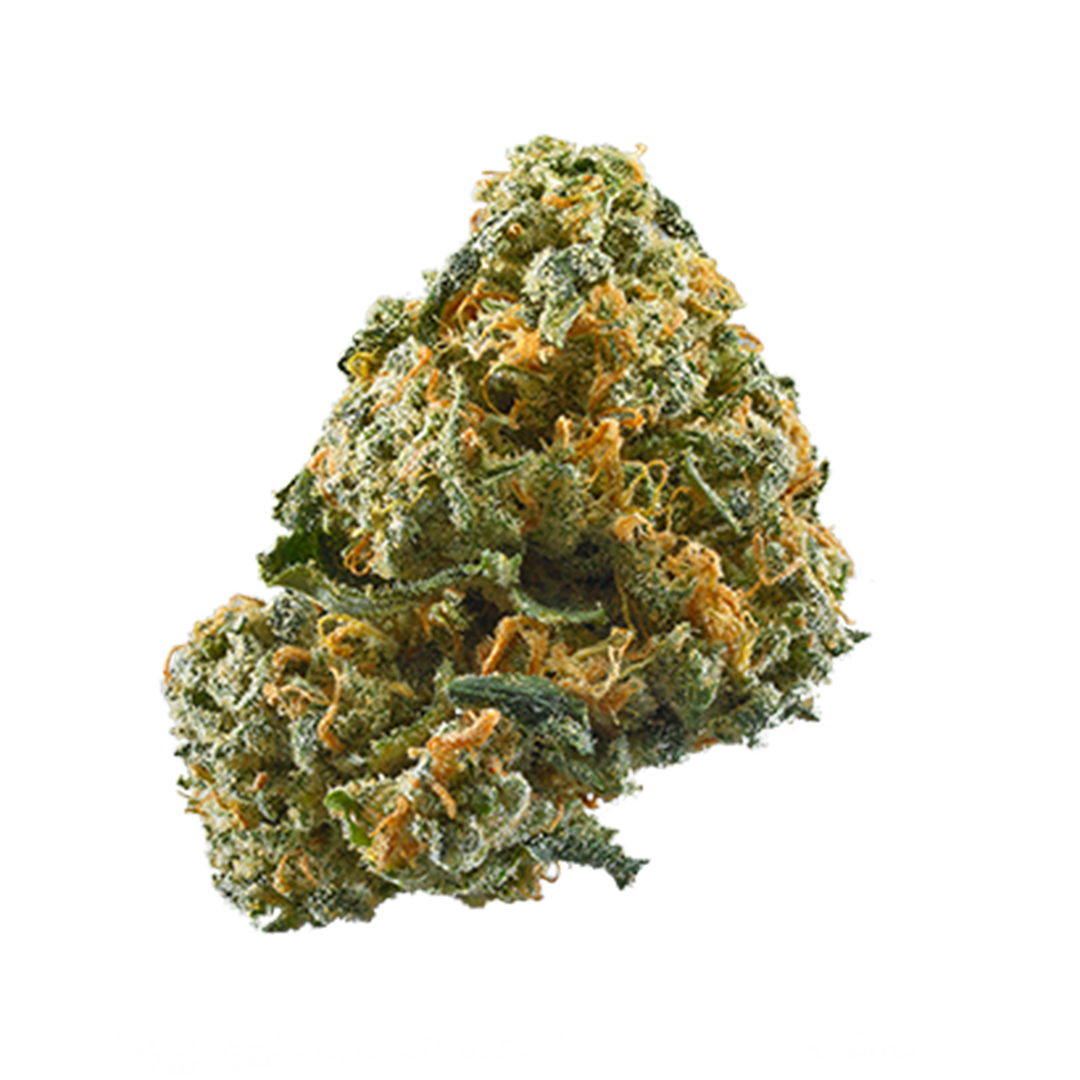 Cheese Hybrid Cannabis Strain