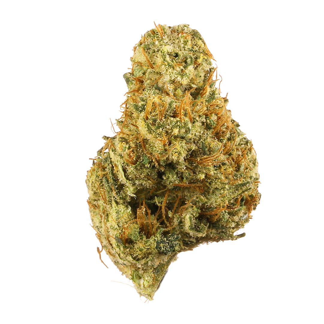 Dutch Treat Hybrid Cannabis Strain