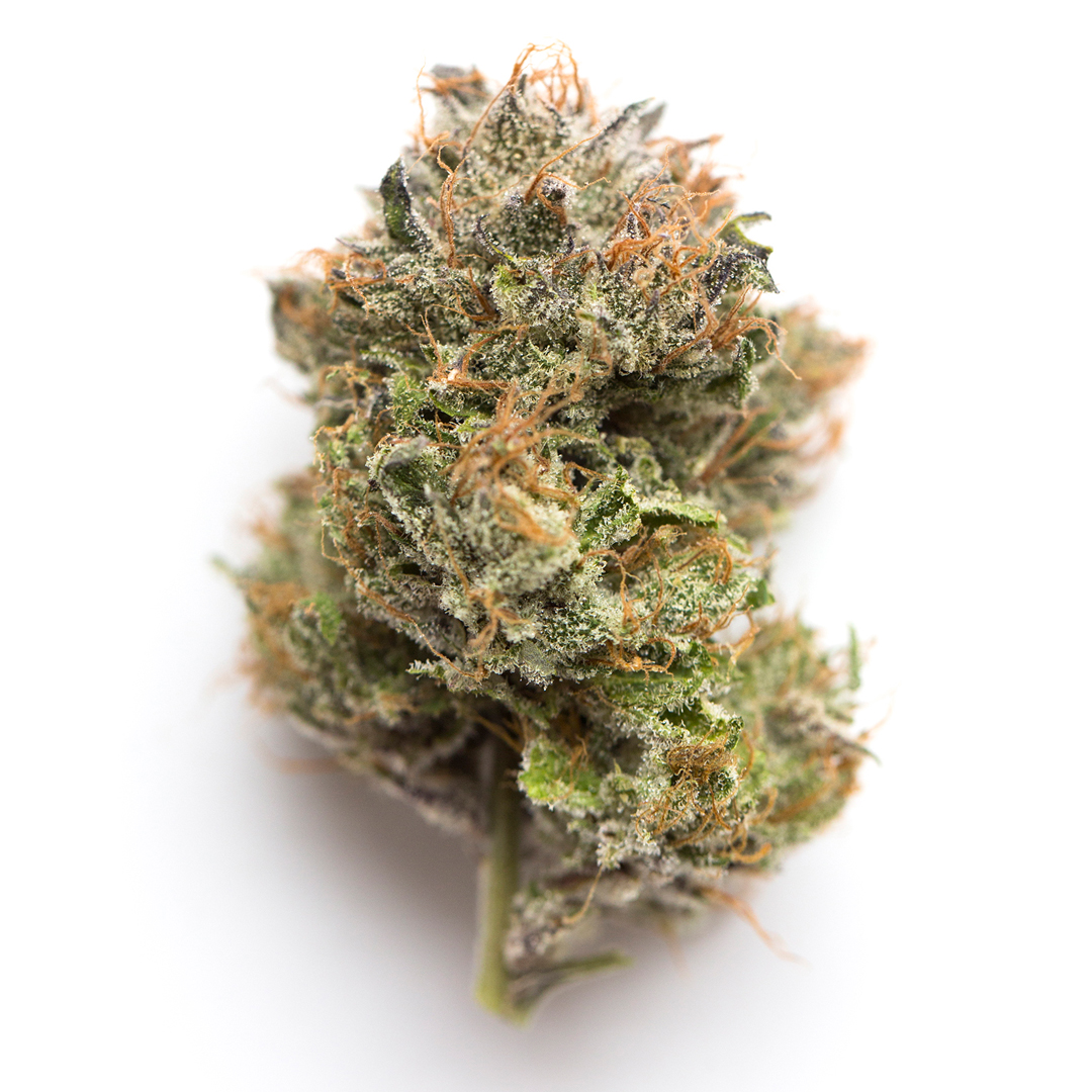 Frankenstein Hybrid Cannabis Strain