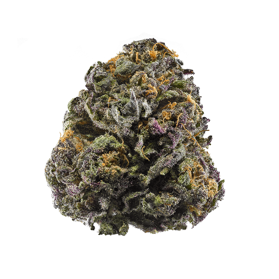 Granddaddy Purple Indica Cannabis Strain