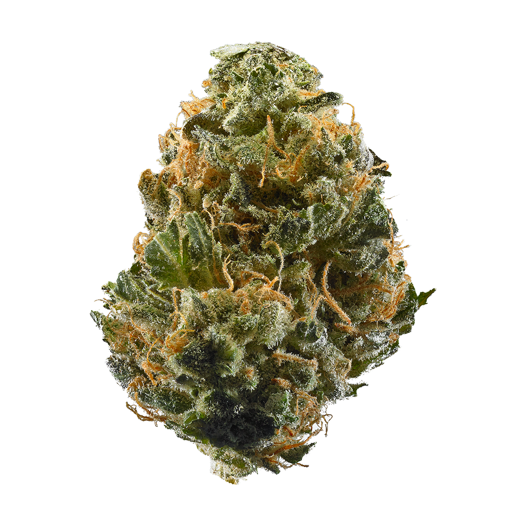 Haze Sativa Cannabis Strain