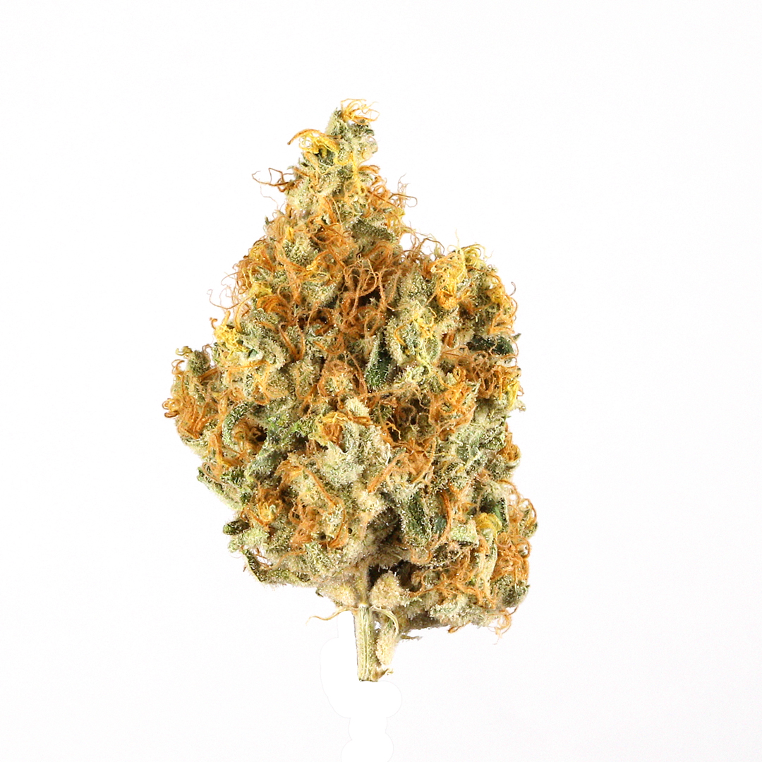 Lemon Cake Hybrid Cannabis Strain