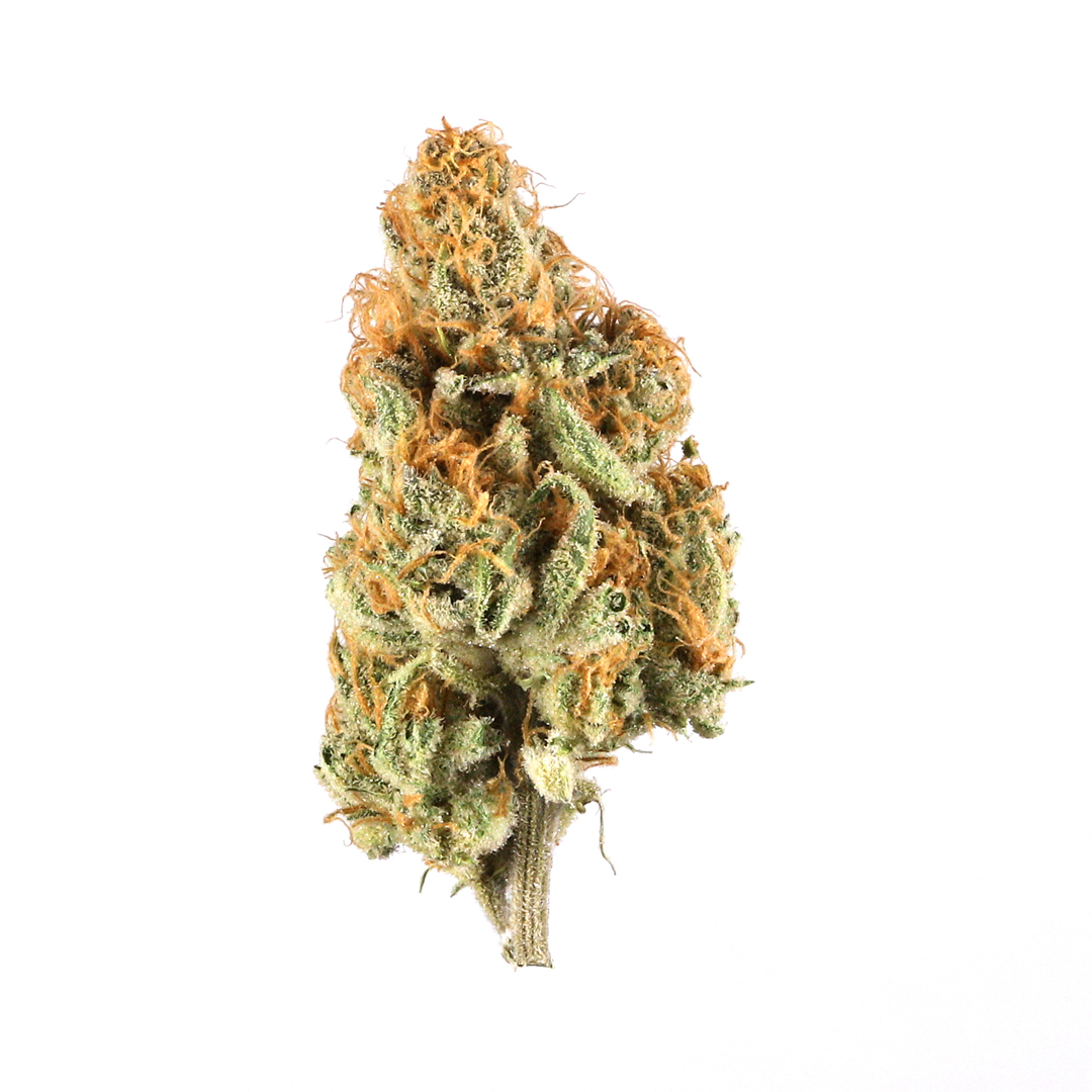Orange Creamsicle Hybrid Cannabis Strain