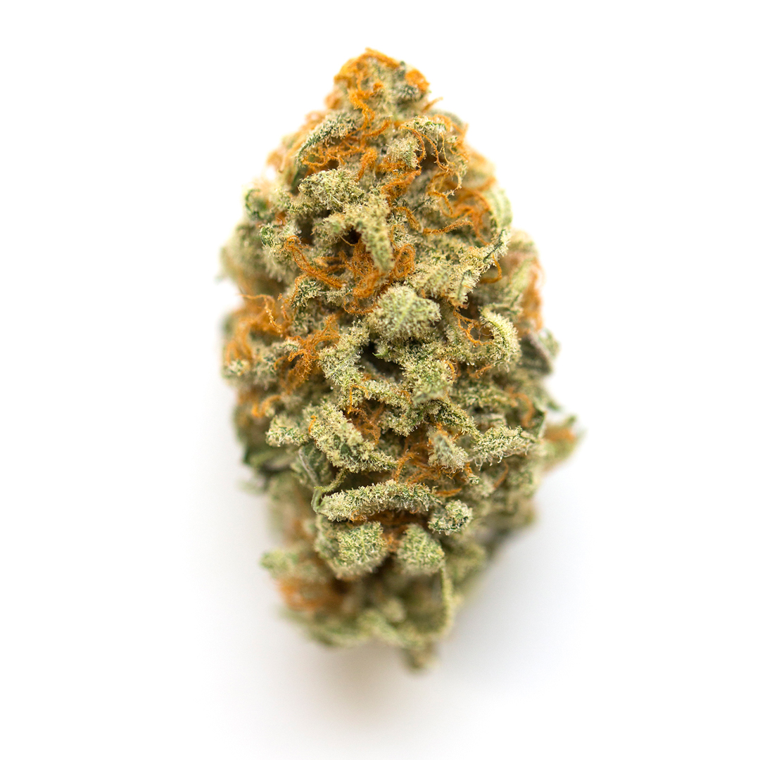 Orange Crush Hybrid Cannabis Strain