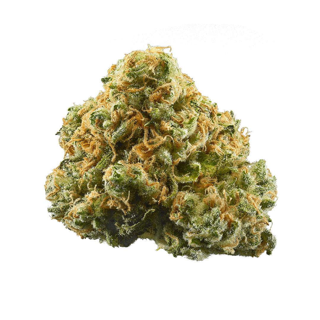 Pineapple Express Hybrid Cannabis Strain