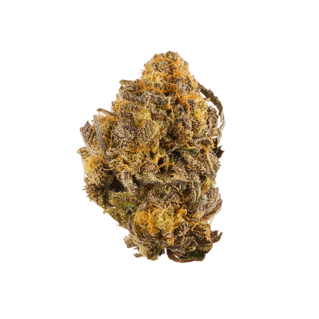 Purple Kush Indica Cannabis Strain
