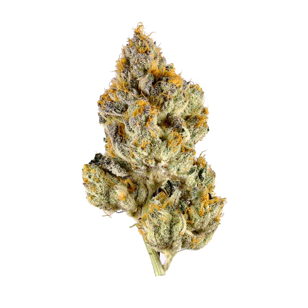 White Tahoe Cookies Hybrid Cannabis Strain