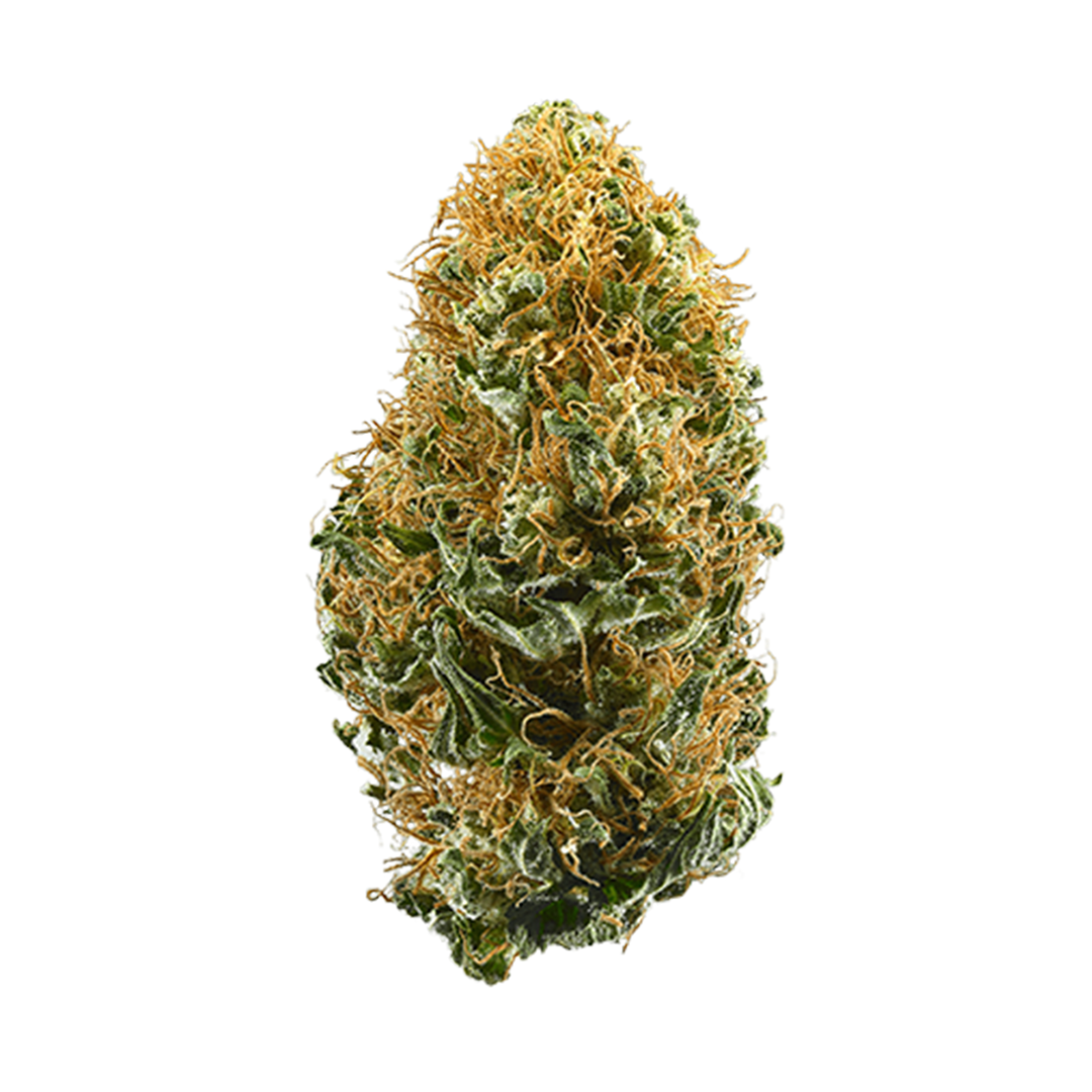 White Widow Hybrid Cannabis Strain